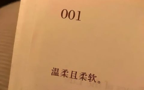 学习计划（自我提升建议）